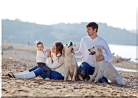 cachorros-e-familia