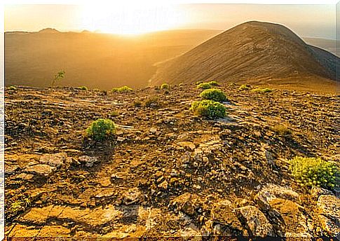 Timanfaya National Park