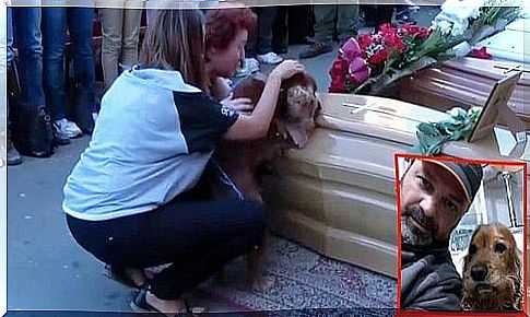 A dog refuses to abandon its owner's coffin, victim of the earthquake in Italy