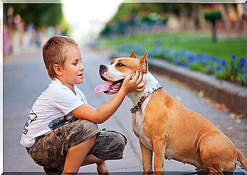 child and dog