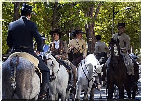 Cavalo de raça pura espanhola ou cavalo andaluz