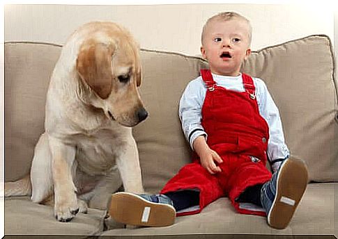 Dog and child with Down syndrome