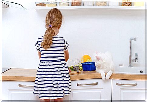 Girl cooking with white cat on the counter.