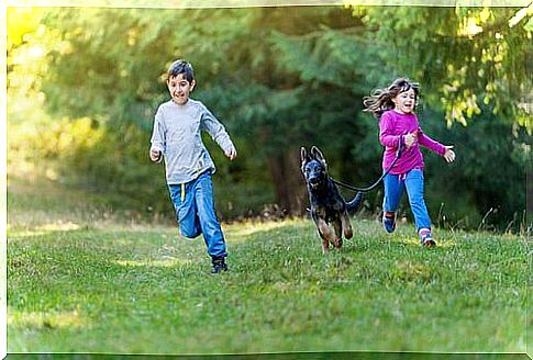 german shepherd and children