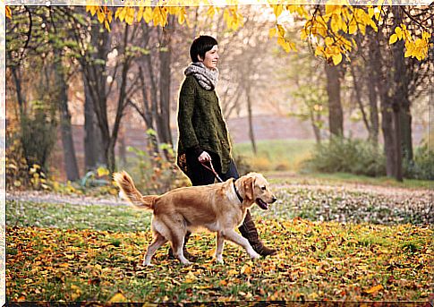 owner walking a dog