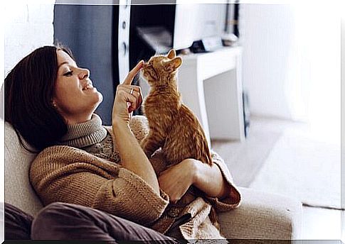 owner playing with her cat