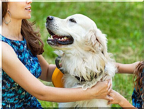 woman and dog