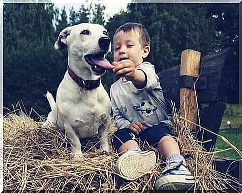 boy playing dog tongue