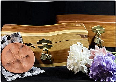 What funeral options are there for animals that have died?