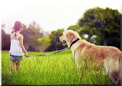 What to do when a child asks for a pet