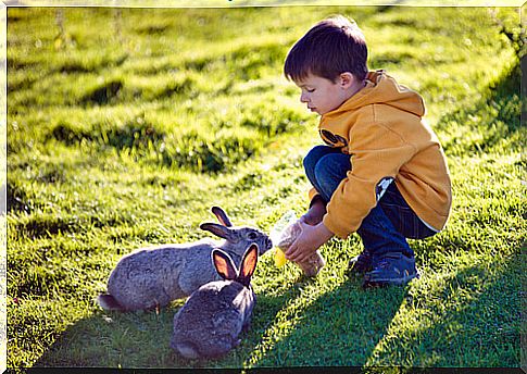 children and pets