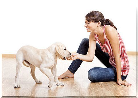 puppy and owner