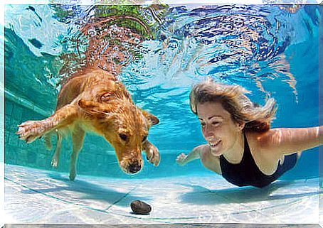 dogs-may-breathe-under-water