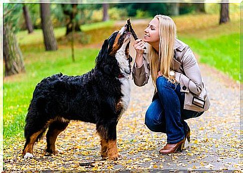 love dog and owner